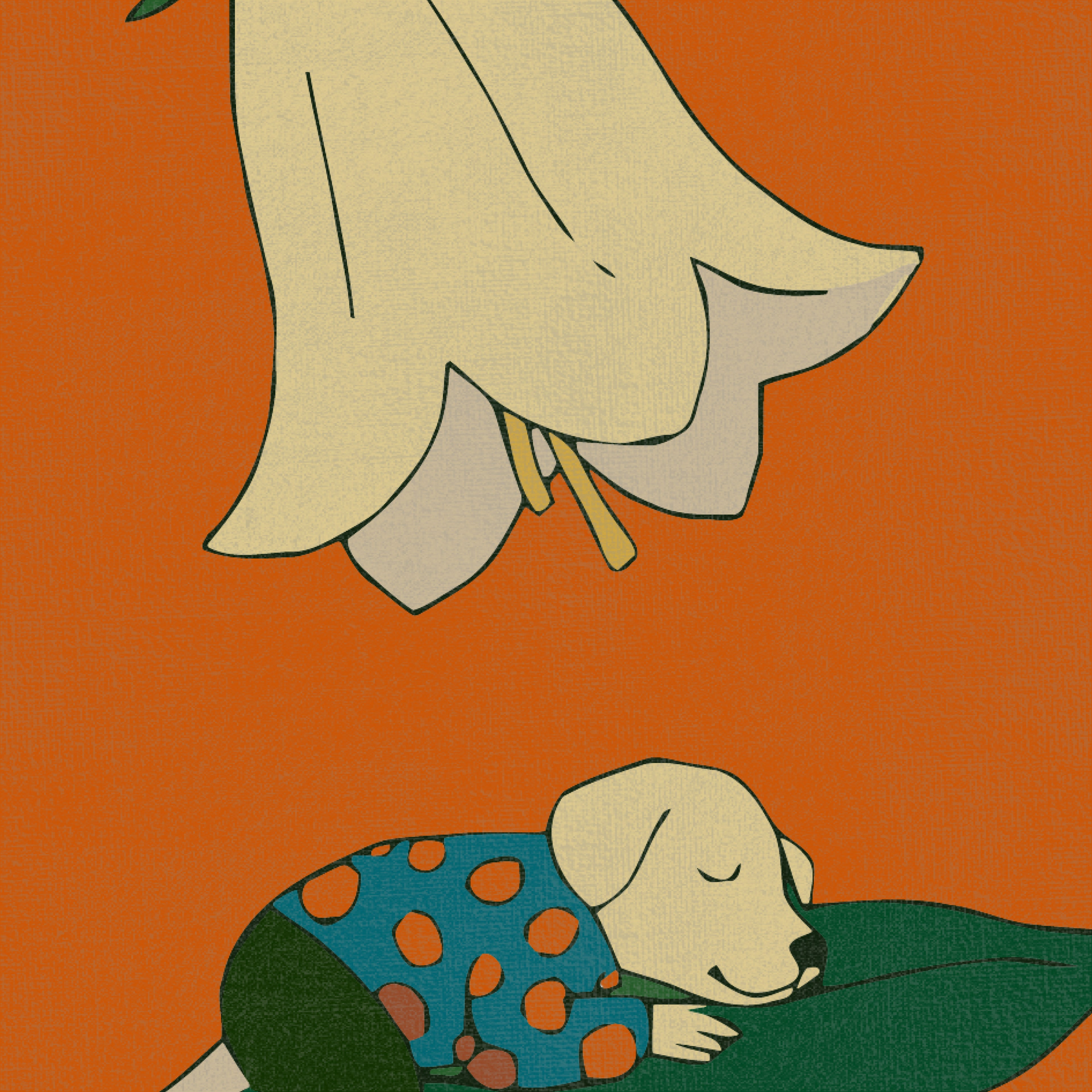 花鐘午睡