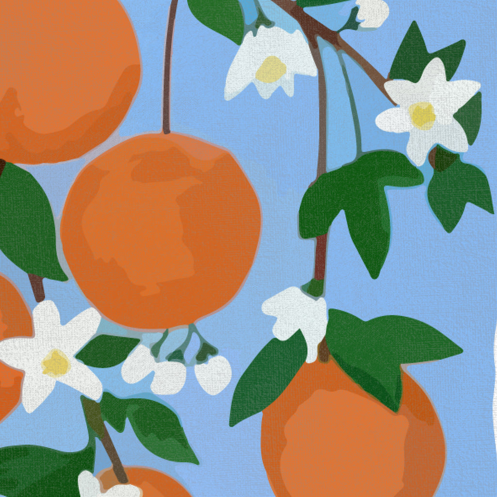 預售|Orange Blossom Letter
