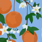 預售|Orange Blossom Letter