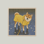 預售｜雨天的黃色雨衣