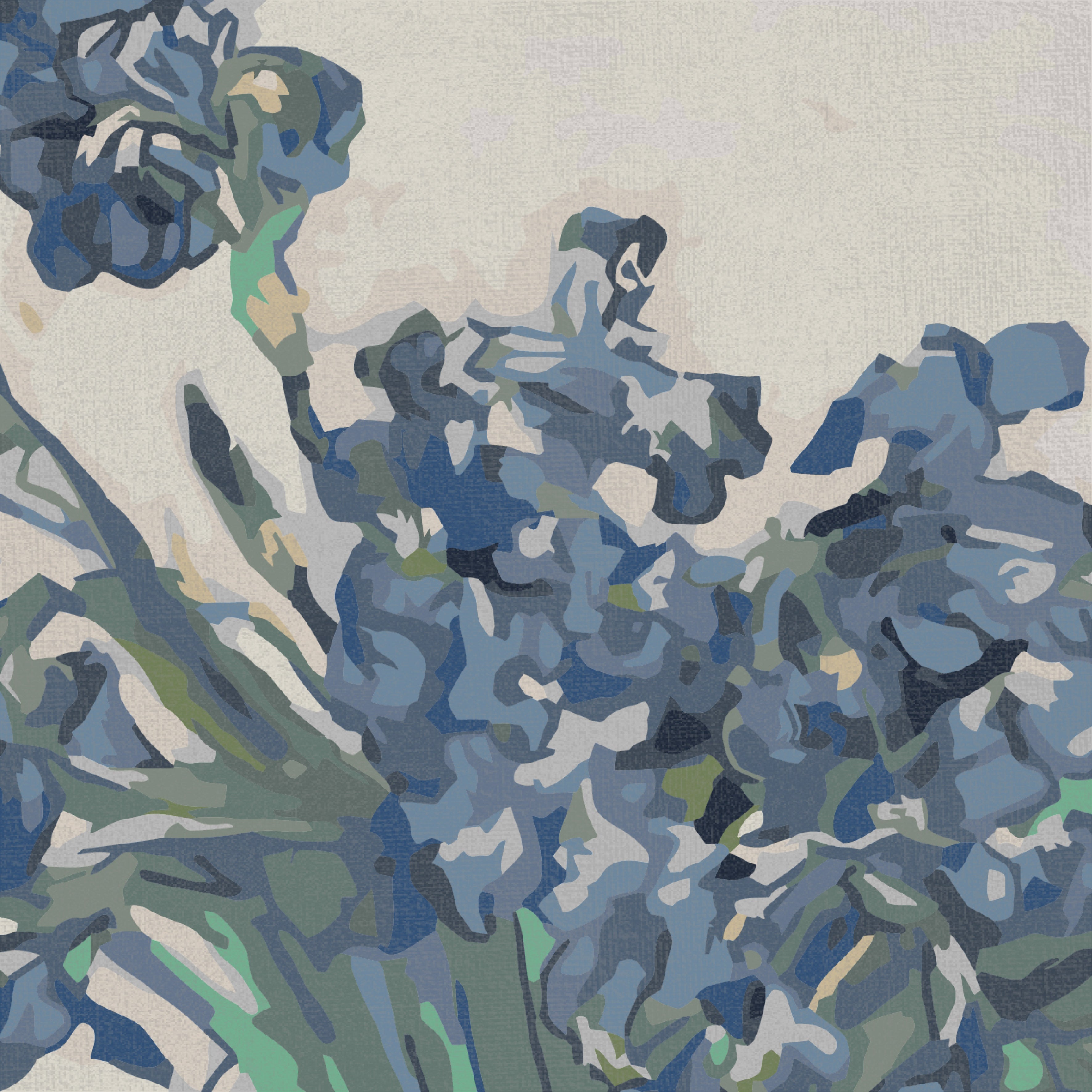 鳶尾花 Irises